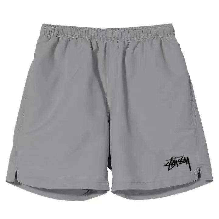 Stussy Shorts "Logo" (Dri Fit)